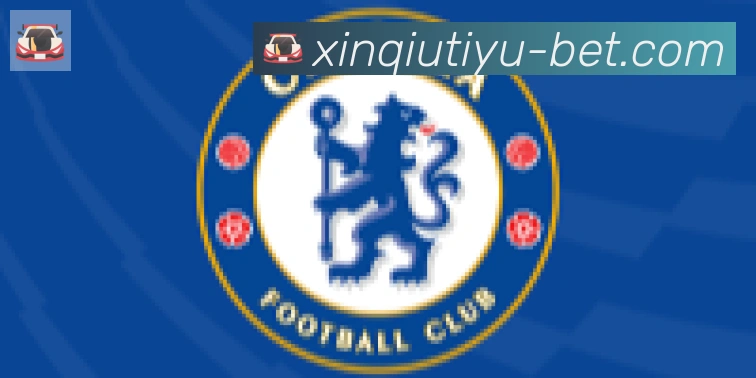 新球体育合作伙伴